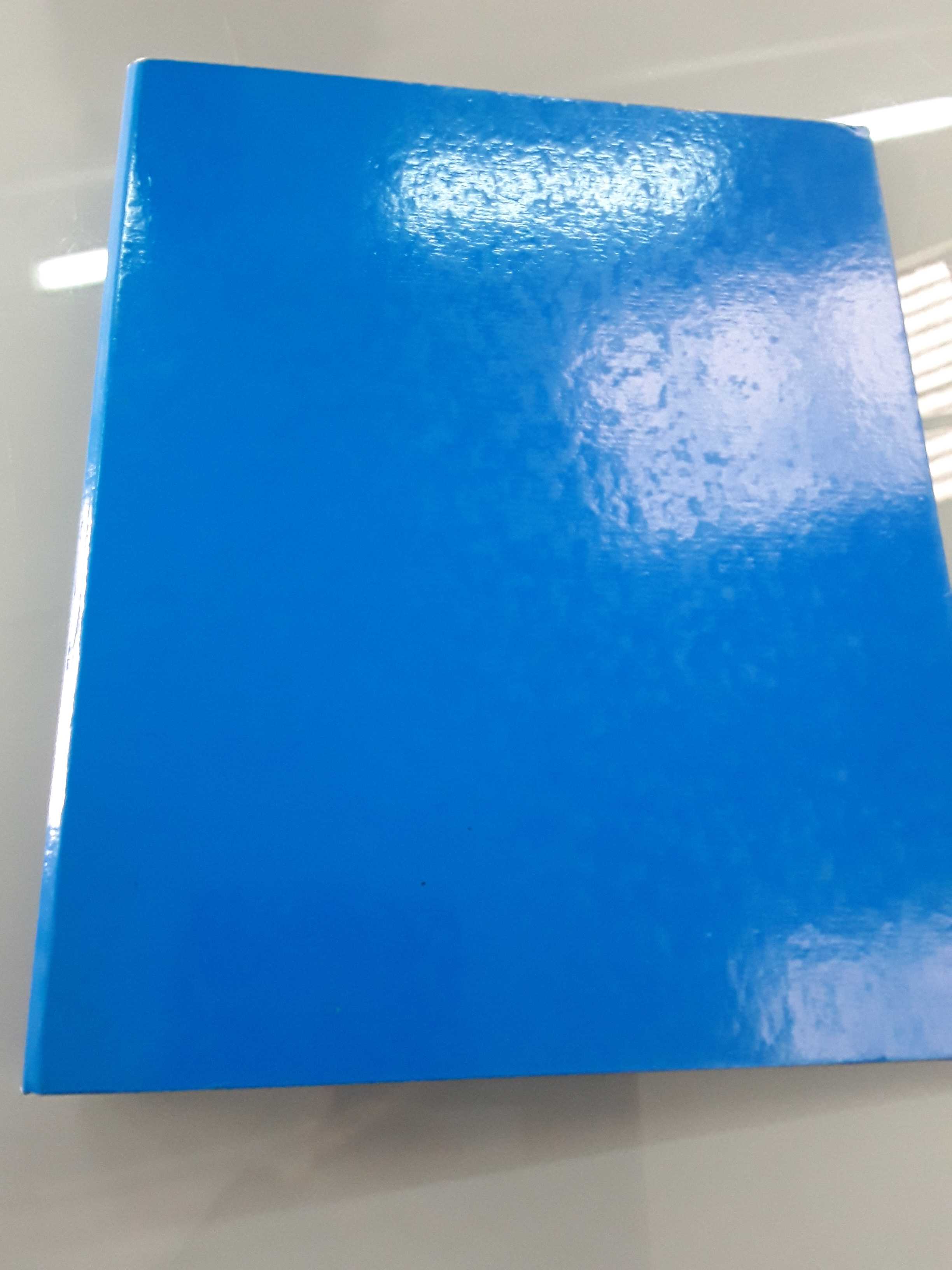 cartellina ad anelli