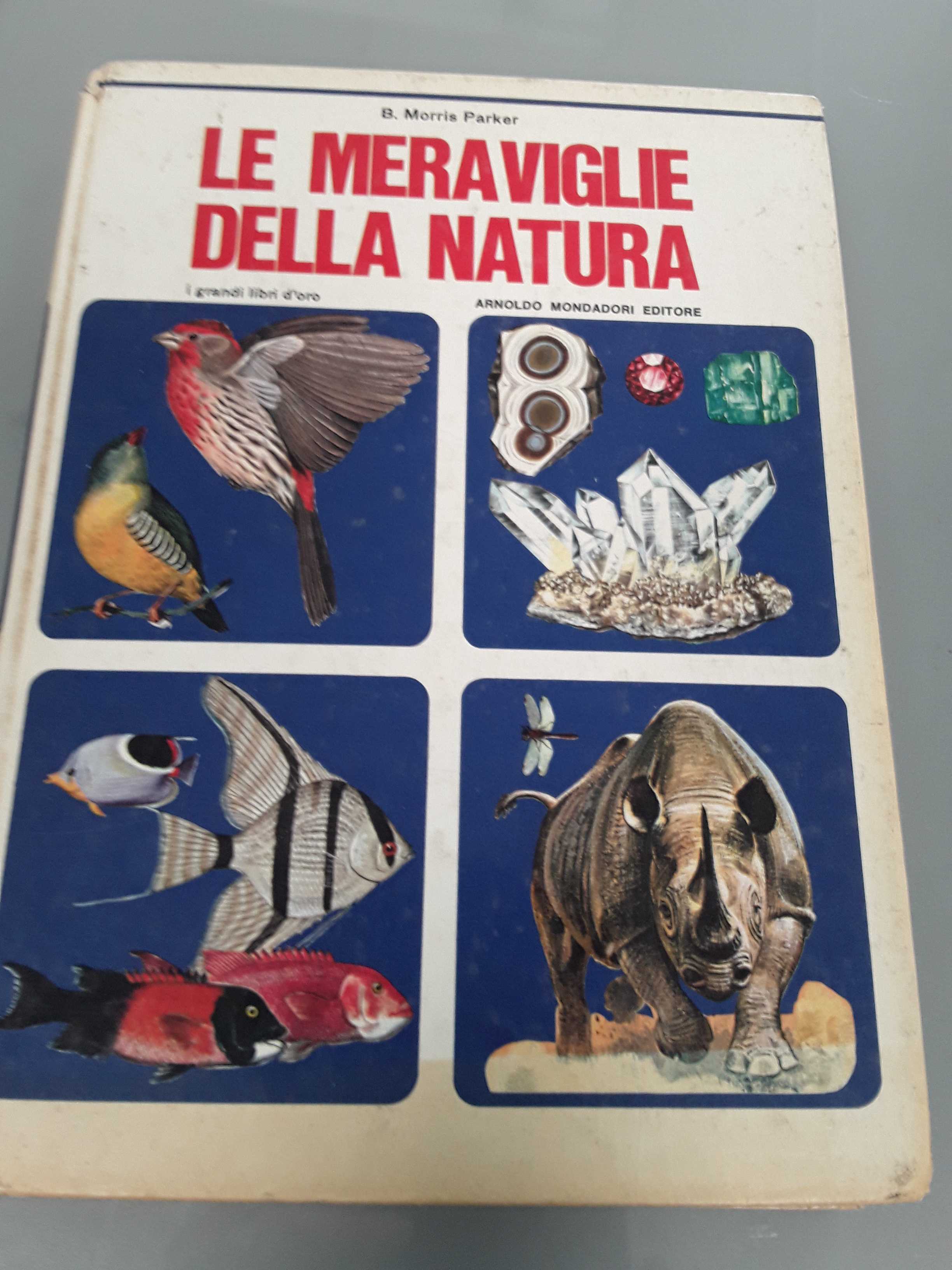 Libro 