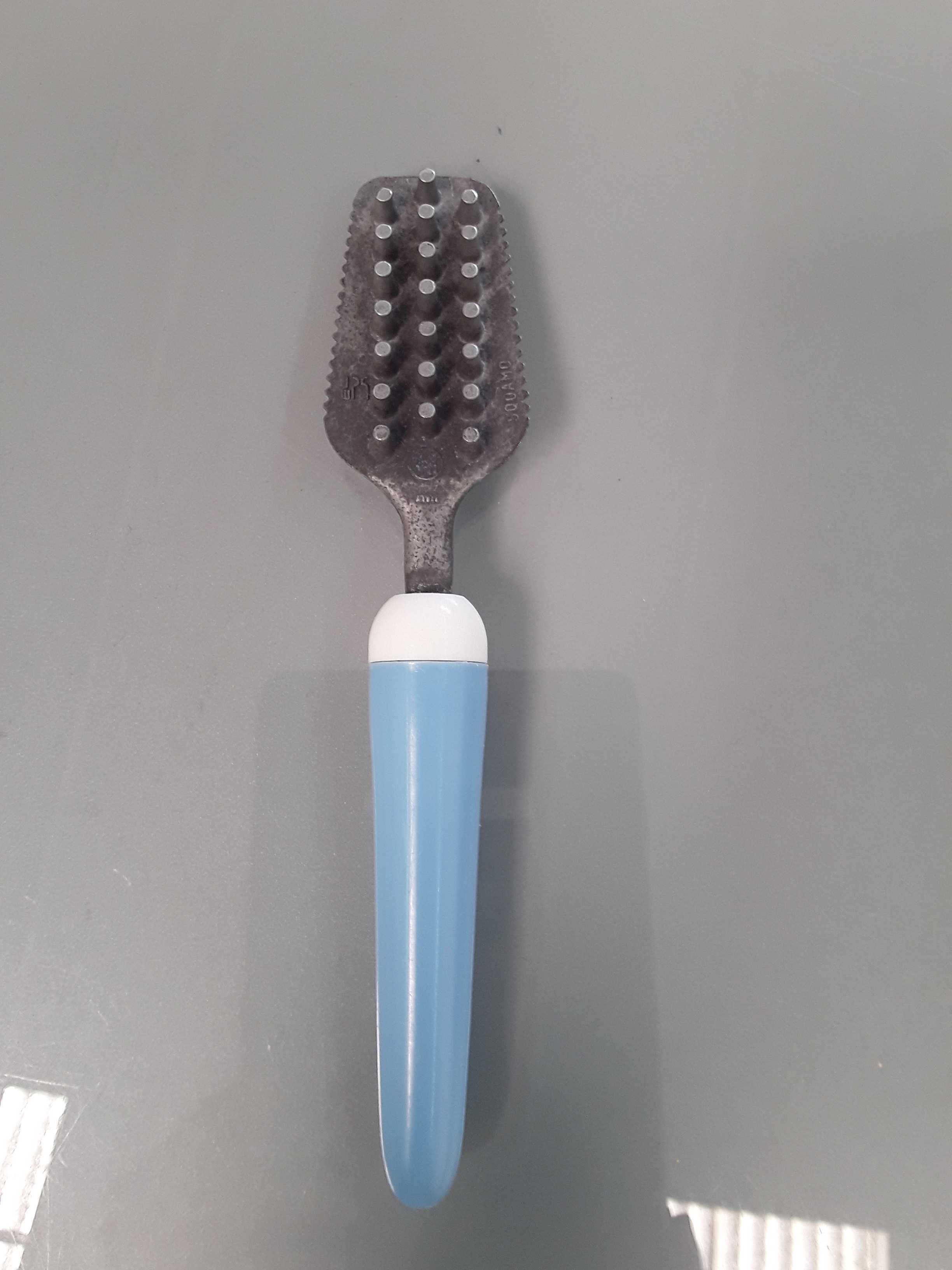 squamapesce 
