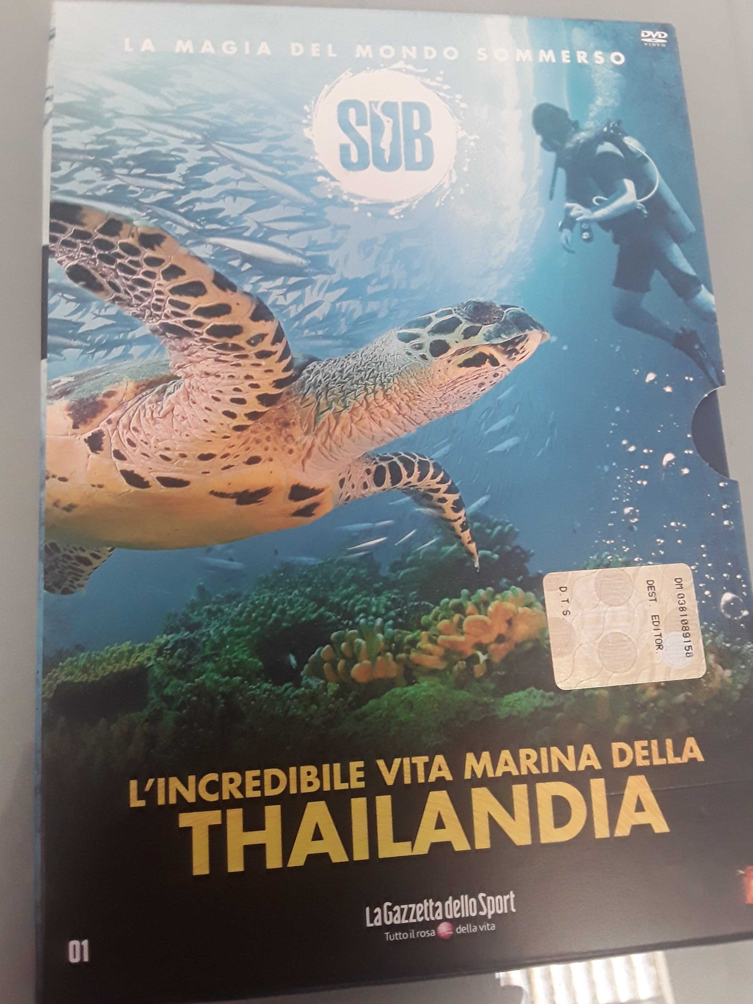 DVD