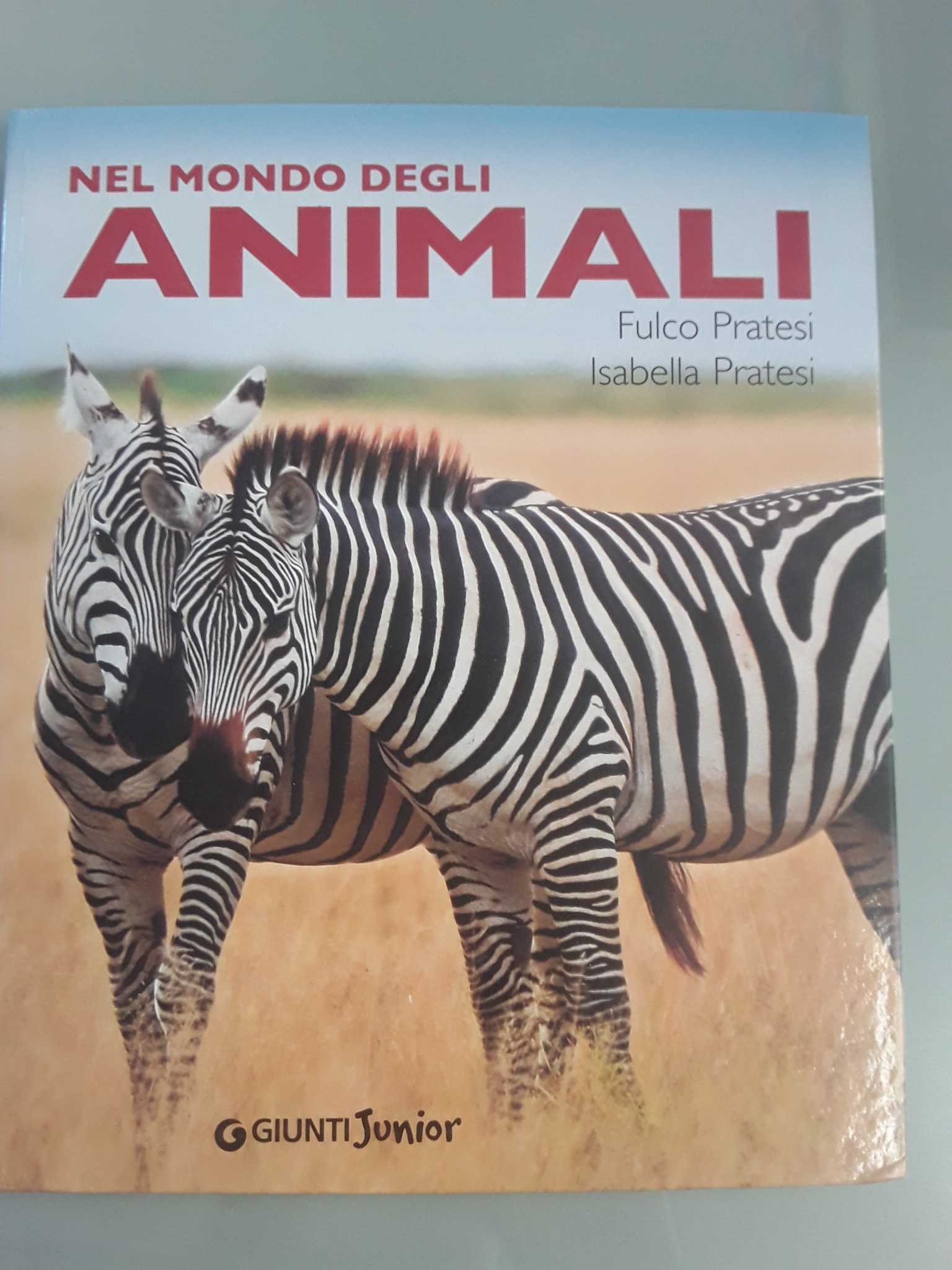 Libro