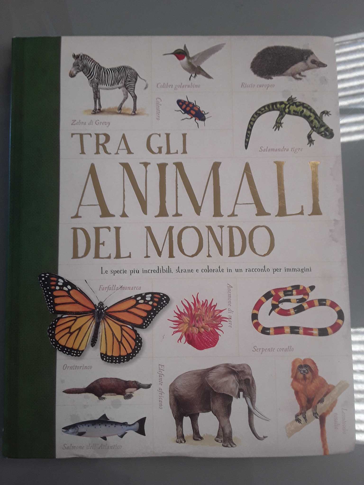 Libro 