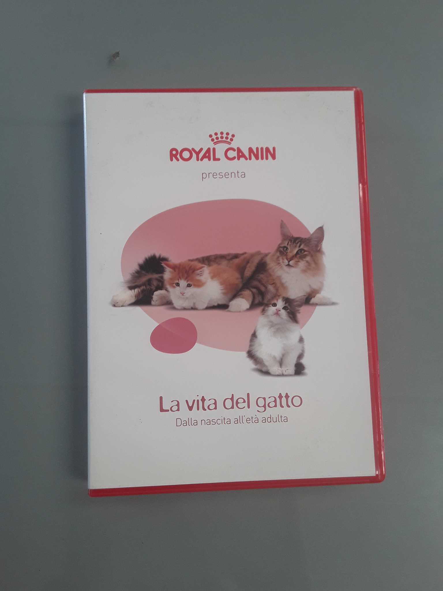 Dvd