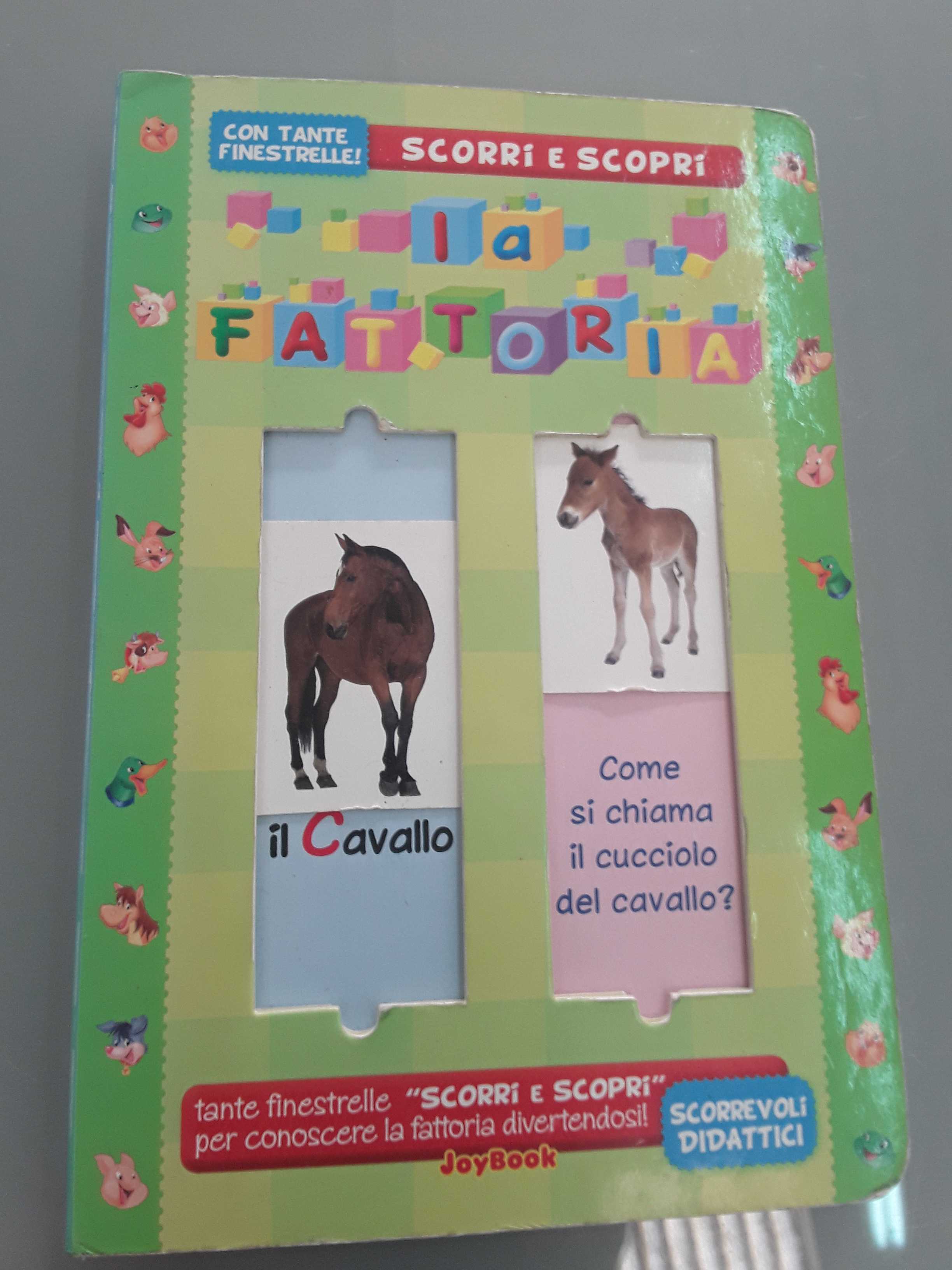 libro 