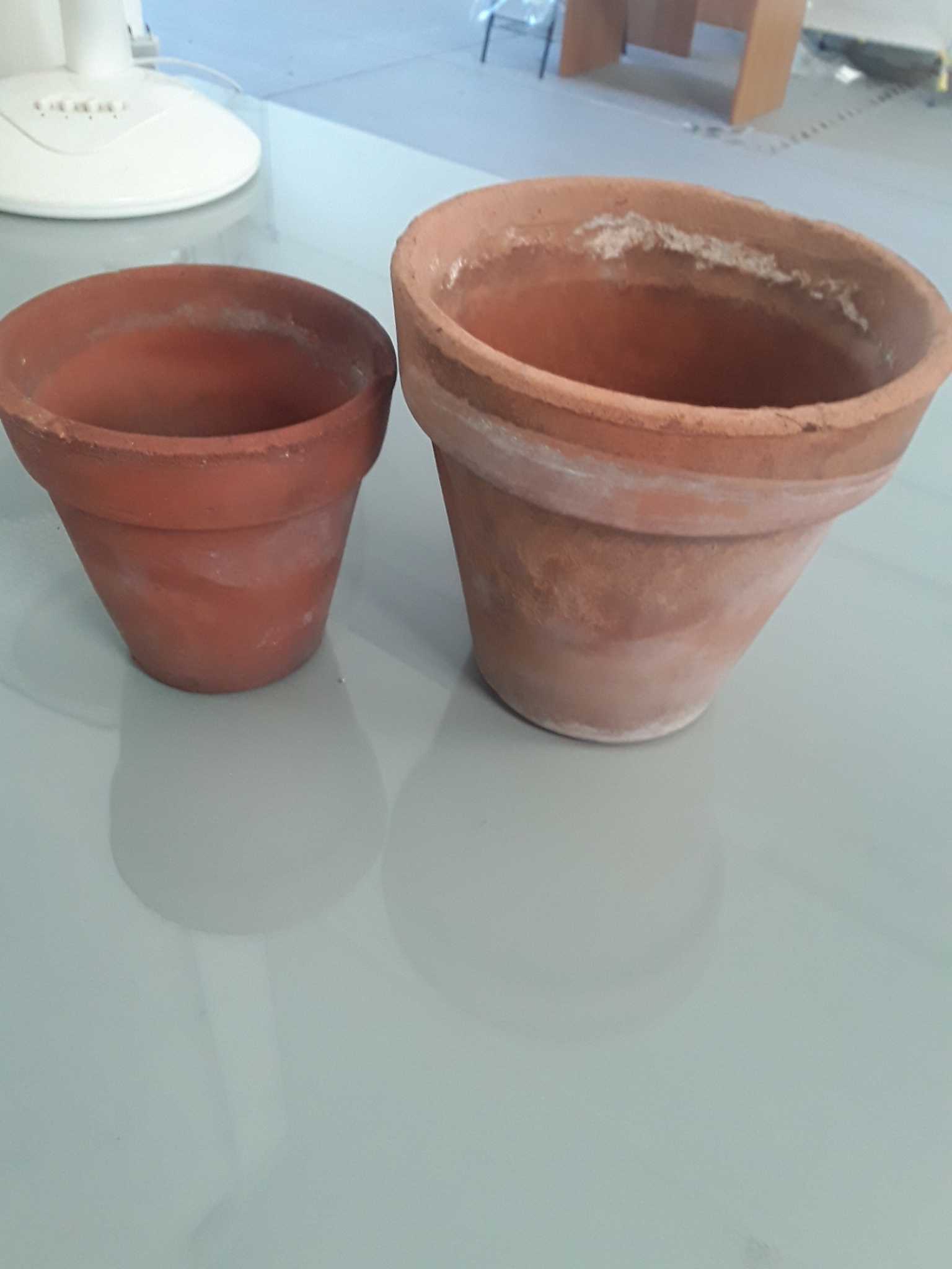 Vasi