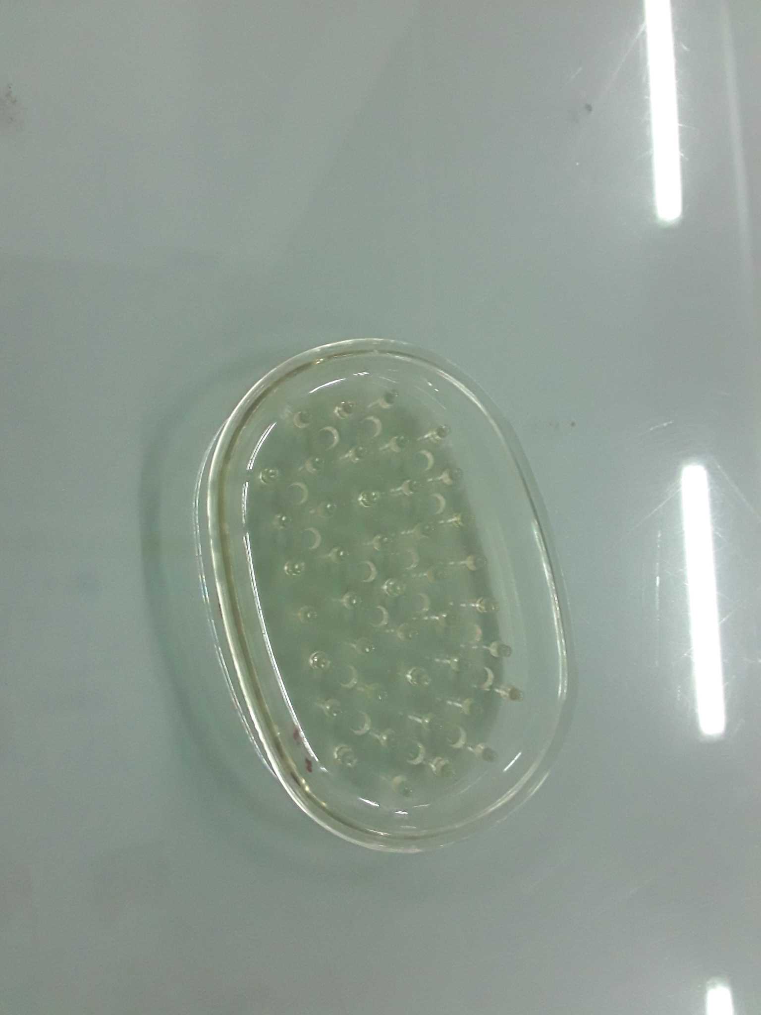 Porta sapone
